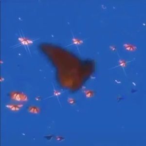 Meet your Posher, Joseph